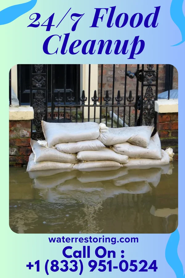 24/7 Flood Cleanup in Sunnyvale, TX