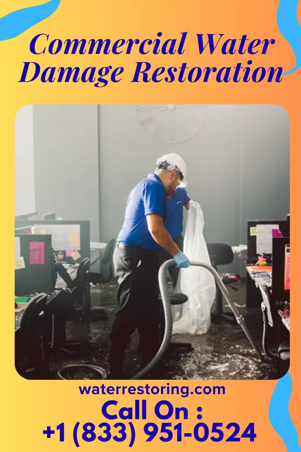 Commercial Water Damage Restoration in Sunnyvale, TX