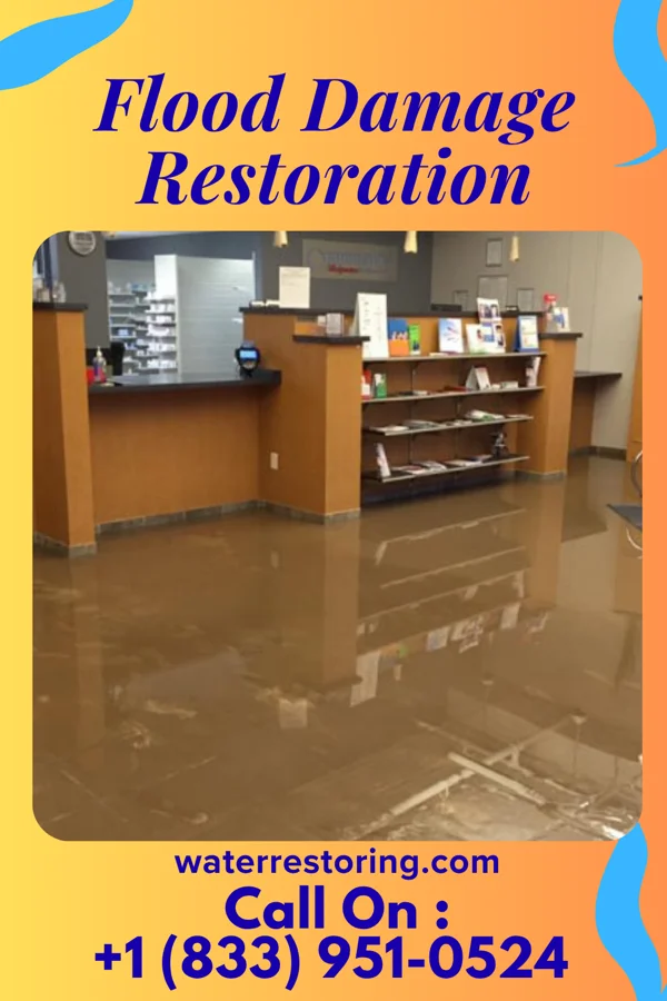 Flood Damage Restoration in Sunnyvale, TX