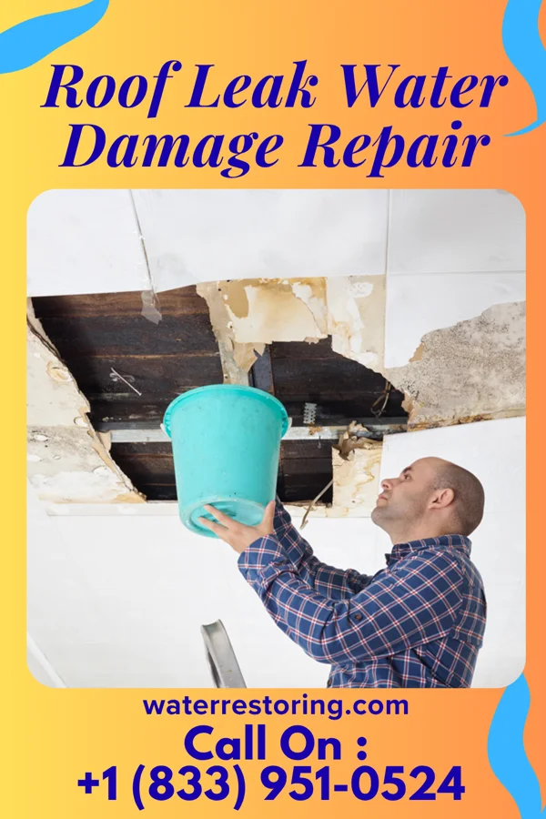 Roof Leak Water Damage Repair in Sunnyvale, TX