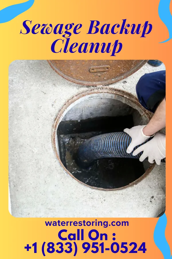 Sewage Backup Cleanup in Sunnyvale, TX