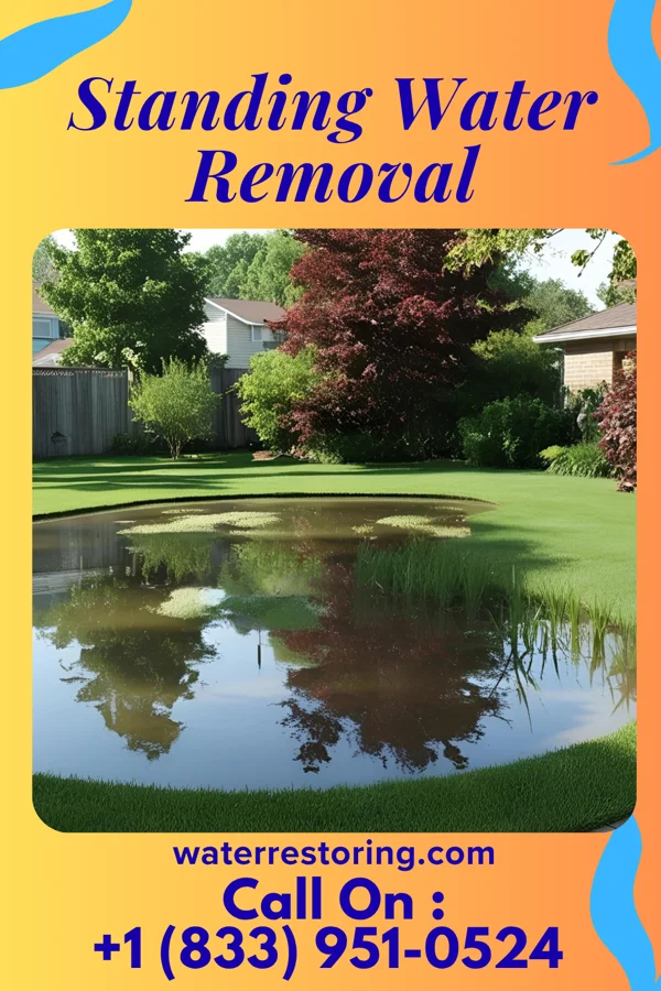 Standing Water Removal in Sunnyvale, TX